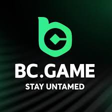 The Rise of BC.Game Platform A New Era in Online Gaming