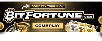 Bitfortune Live Casino A New Era for Crypto Gamblers